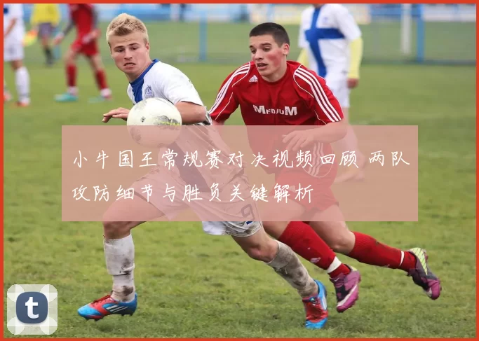 小牛国王常规赛对决视频回顾 两队攻防细节与胜负关键解析