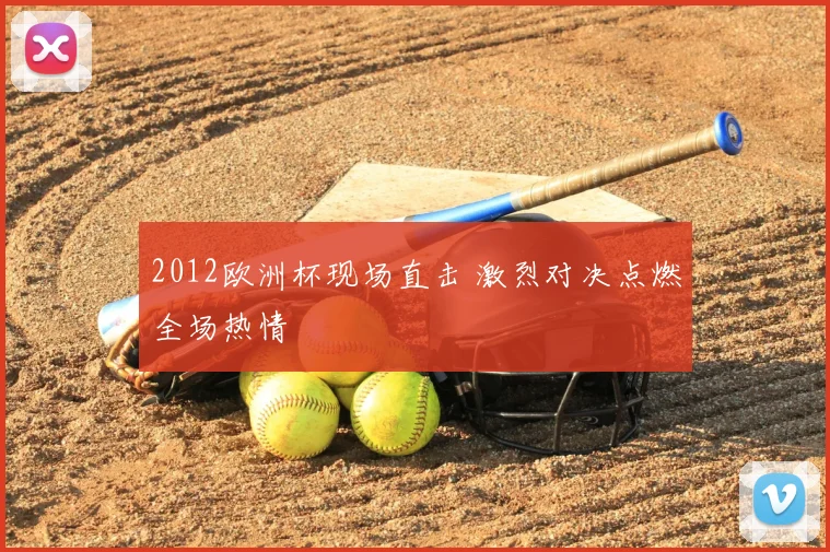 2012欧洲杯现场直击 激烈对决点燃全场热情