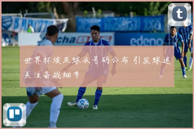 世界杯埃及球衣号码公布 引发球迷关注备战细节