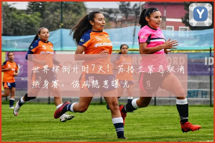 世界杯倒计时7天!苏格兰紧急取消热身赛,伤病隐患曝光