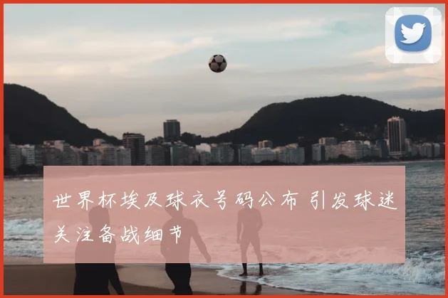 世界杯埃及球衣号码公布 引发球迷关注备战细节